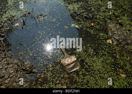 La voie ferrée abandonnée connu sous le nom de "Bronx Swamp' est vu dans la Mott Haven quartier du Bronx à New York Banque D'Images