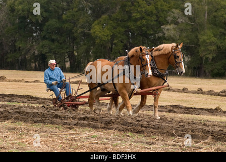 Festival annuel de jours de charrue à Dudley, lieu historique de La Ferme, Parc d'état de Newberry, Floride--Registre National des Endroits Historiques. Banque D'Images