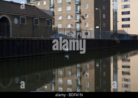 Offres et demandes de logement, un cygne, Regents Canal, Londres. UK. Banque D'Images