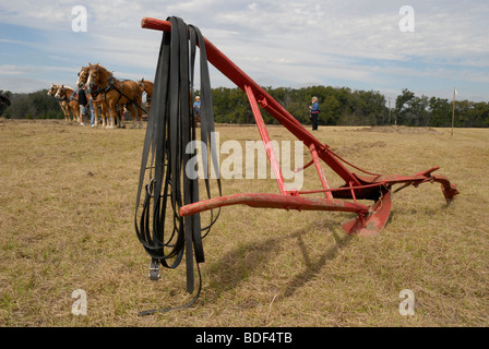 Festival annuel de jours de charrue à Dudley, lieu historique de La Ferme, Parc d'état de Newberry, Floride--Registre National des Endroits Historiques. Banque D'Images