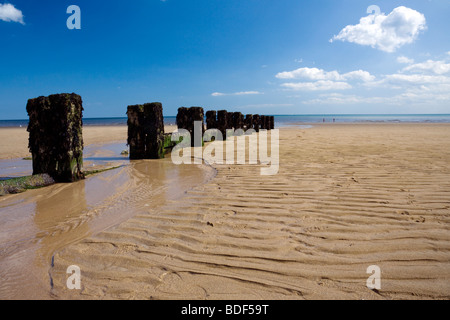 Les patrons de sable et des éperons en marche vers la mer, couverte d'algues et de patelles Bridlington sur la North Beach Banque D'Images