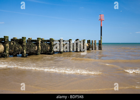 Épis en marche vers la mer couverte d'algue marine et les patelles Bridlington sur la North Beach comme vagues viennent de la plage. Banque D'Images