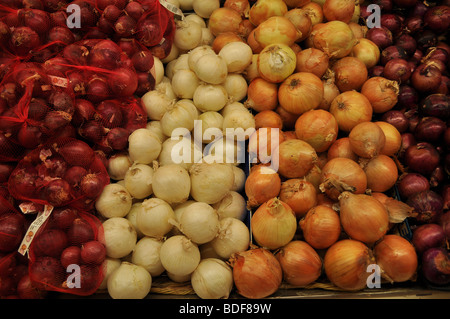 Différents types d'oignons sur l'affichage dans un magasin d'aliments Banque D'Images