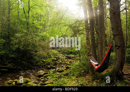 Woman relaxing in hammock près de River - Pisgah National Forest, à proximité de Brevard, Caroline du Nord. Banque D'Images