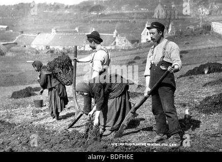 SKYE CROFTERS planter les pommes de terre à l'aide de l'cashrom pied labourer vers 1910 Banque D'Images