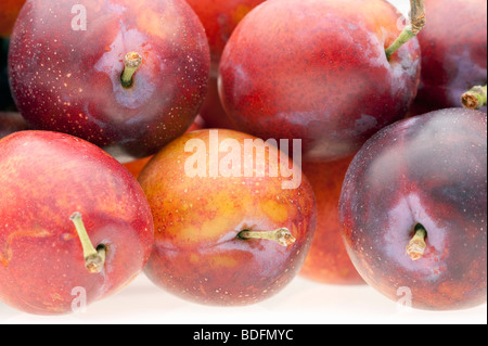 Close-up d'un tas de "prunes" en anglais Banque D'Images