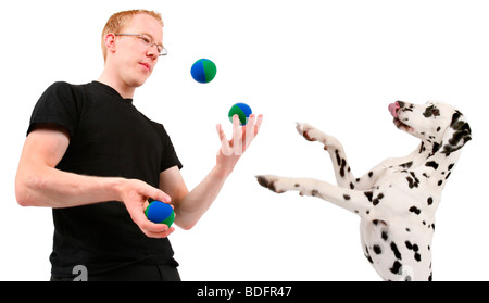Dalmatien (Canis lupus f. familiaris), jeune homme d'enseigner son chien balles à jongler avec Banque D'Images