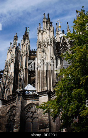 Kölner Dom / Cathédrale de Cologne en Allemagne. Banque D'Images