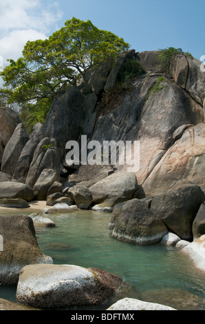 Piscine dans les rochers en shore sur l'île de Koh Samui en Thailande Banque D'Images