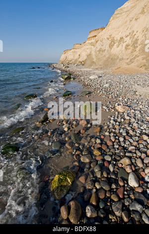 Falaise en face de Ahrenshoop, Fischland, mer Baltique, Mecklembourg-Poméranie-Occidentale, Allemagne, Europe Banque D'Images