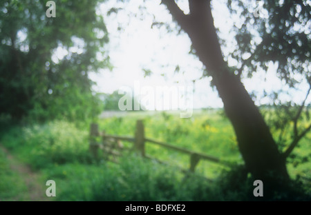 Vue impressionniste de pays voie avec la ferme du bois et clôture avec buttercup meadow cow parsley et arbres au printemps Banque D'Images