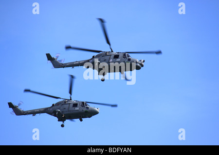 Royal Navy Black Cats Helicopter Display Team Banque D'Images