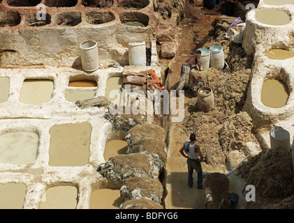 Les travailleurs dans un souk tannerie à la Médina de Fes/Fez sont représentés le 19 août 2009, au Maroc, en Afrique du Nord. Banque D'Images