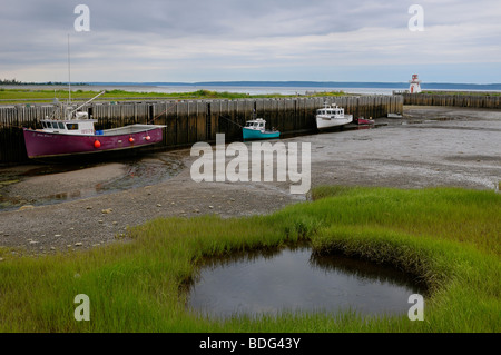 Belliveau Cove Lighthouse à marée basse dans la baie de Fundy en Nouvelle-Écosse Banque D'Images