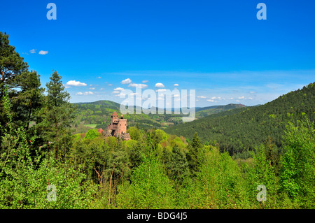 Burg Berwartstein château, Erlenbach, Naturpark Pfaelzerwald nature reserve, Palatinat, Rhénanie-Palatinat, Allemagne, Europe Banque D'Images