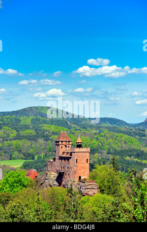 Burg Berwartstein château, Erlenbach, Naturpark Pfaelzerwald nature reserve, Palatinat, Rhénanie-Palatinat, Allemagne, Europe Banque D'Images