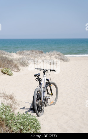 Vtt sans rouler sur la plage vide. El Saler. Valence. Espagne Banque D'Images