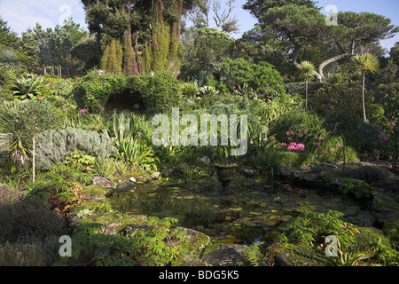 Grotto, frontières, nerines et étang de jardin à l'abbaye de Tresco Jardins Îles Scilly Cornwall UK début novembre Banque D'Images