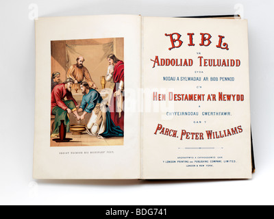 Christian Bible galloise montrant une illustration du Christ lavant les pieds de ses disciples Banque D'Images