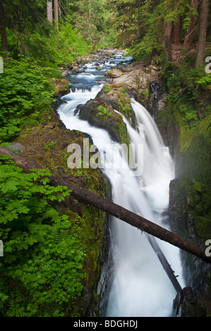 Sol Duc Falls, Olympic National Park, Washington. Banque D'Images