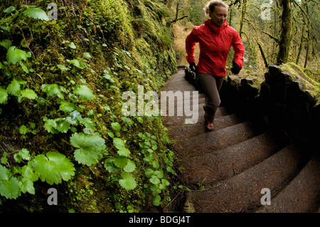 Une femme trail running en haut des escaliers à travers un livre vert, forêt moussue à Silver Falls State Park, Oregon, USA. Banque D'Images