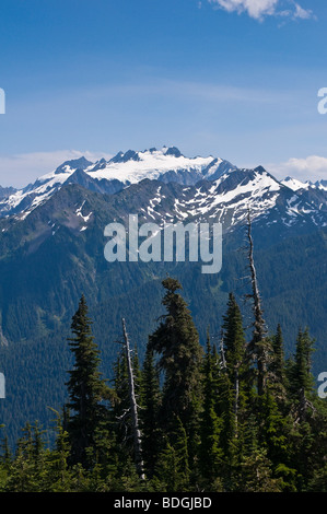 Le mont Olympe de la piste de la ligne haute, Olympic National Park, Washington. Banque D'Images