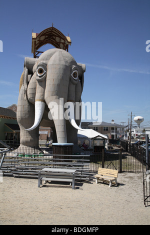 Lucy l'Éléphant de directement en face. Banque D'Images