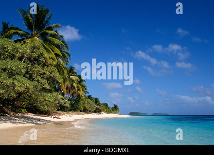 Îles Marshall, Micronésie : Plage et palmiers sur Calalin Island, un "Picnic Island' sur l'atoll de Majuro. Banque D'Images