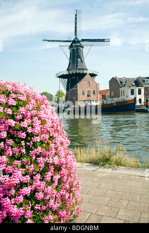 Moulin de Adriaan moulin, Haarlem, Hollande Banque D'Images