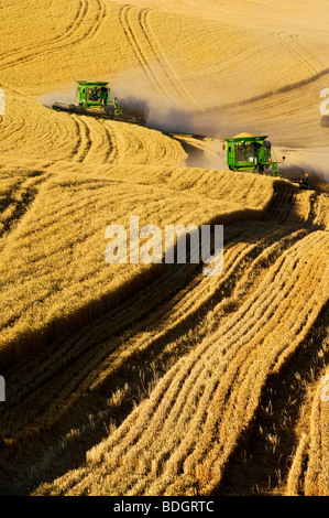 Agriculture - deux moissonneuses-batteuses John Deere récolter le blé tendre blanc sur le terrain l'océan indien / près de Pullman, Washington, USA. Banque D'Images