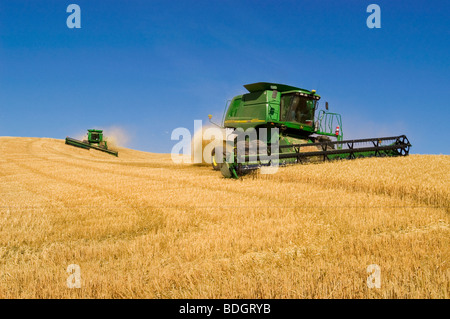 Agriculture - deux moissonneuses-batteuses John Deere récolter le blé tendre blanc sur le terrain l'océan indien / près de Pullman, Washington, USA. Banque D'Images