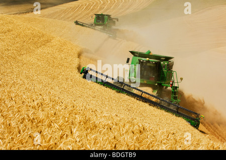 Deux moissonneuses-batteuses John Deere récolter le blé tendre blanc sur la colline escarpée du terrain en conditions poussiéreuses / près de Pullman, Washington, USA. Banque D'Images