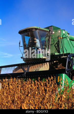 Agriculture - moissonneuse-batteuse John Deere de la récolte de soja / New York, USA. Banque D'Images