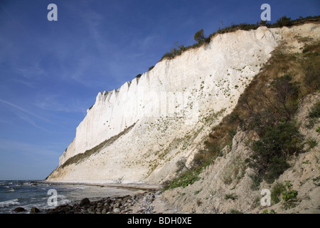 L'abrupte des falaises de craie blanche, à Møn Møns Klint, Nouvelle-Zélande,,Danemark. Banque D'Images