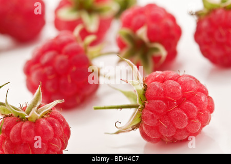 Red Raspberry closeup Banque D'Images