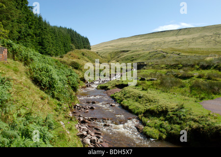 Le début de la marche jusqu'Pen Y Fan, la plus haute montagne dans le sud de la Grande-Bretagne, Brecon Beacons, Pays de Galles Banque D'Images