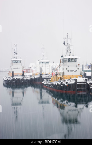 Crowley remorqueurs à l'Seward Boat Harbour pendant une tempête de neige, en Alaska. Banque D'Images