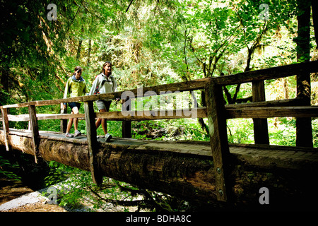 Deux randonneurs sur un pont de bois menant à un petit ruisseau au milieu d'une forêt luxuriante. Banque D'Images