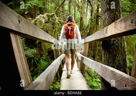 Un seul promeneur marche à travers un pont de bois menant sur un petit ruisseau dans une forêt luxuriante. Banque D'Images