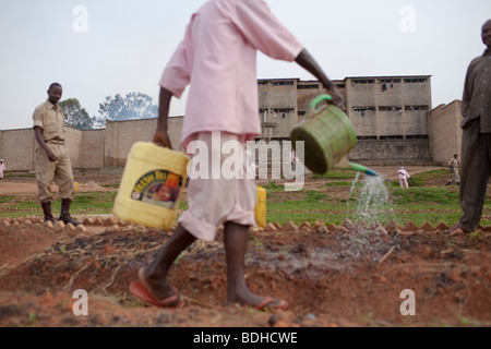 Les prisons du Rwanda contenir des milliers de génocidaires présumés. Banque D'Images