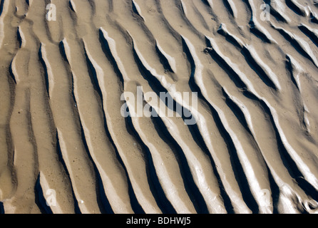 Ridges laissée dans le sable par la marée descendante Banque D'Images