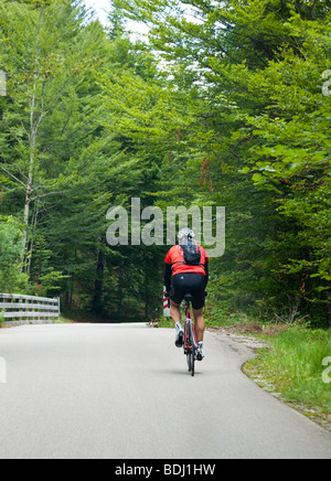 Les cyclistes sur une route de la forêt bavaroise dans le sud de l'Allemagne l'Europe Banque D'Images