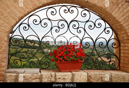 L'Ombrie ; paysage ; fenêtre ; Alviano fort ; les bégonias rouges ; brique arch et grill en fer forgé ; Italie Banque D'Images