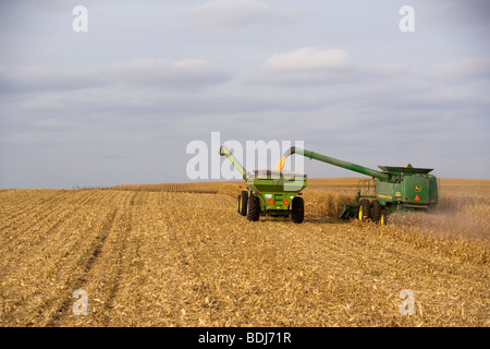 Une moissonneuse-batteuse John Deere récoltes du maïs-grain et décharge dans un chariot de céréales "à la volée"/ près de Northland, Minnesota, USA. Banque D'Images