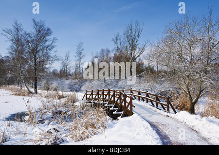 Chemin et pont dans Schwenninger Moos, Baden-Wurttemberg, Allemagne Banque D'Images