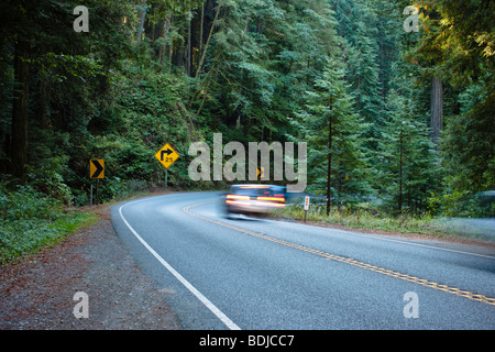 L'autoroute 199 par Jedediah Smith State Park, Californie du Nord, Californie, USA Banque D'Images