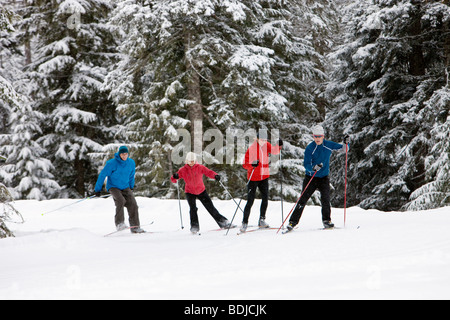 Des couples de ski de fond, Whistler, British Columbia, Canada Banque D'Images