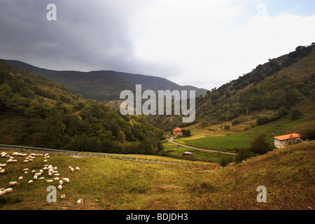 Campagne Basque, Espagne Banque D'Images