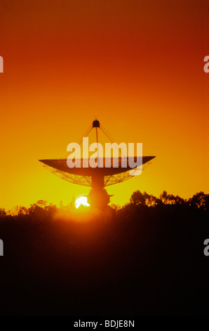 Télescope radio, équipement de réception satellite dish, Sunset Silhouette Banque D'Images