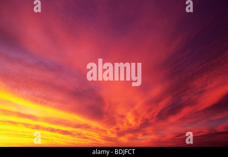 Coucher de Soleil, nuages jaune et rose Banque D'Images